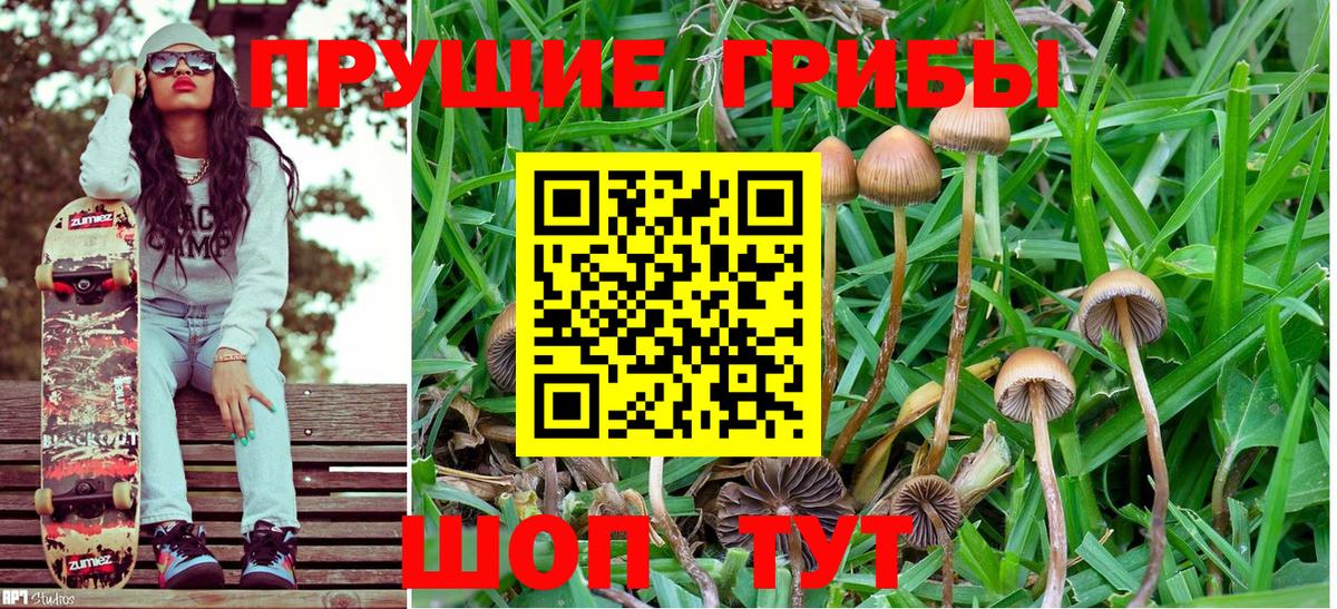 Псилоцибиновые грибы мухоморы  Псилоцибиновые грибы мухоморы  Вход с VPN  закладки  Большой Камень 
